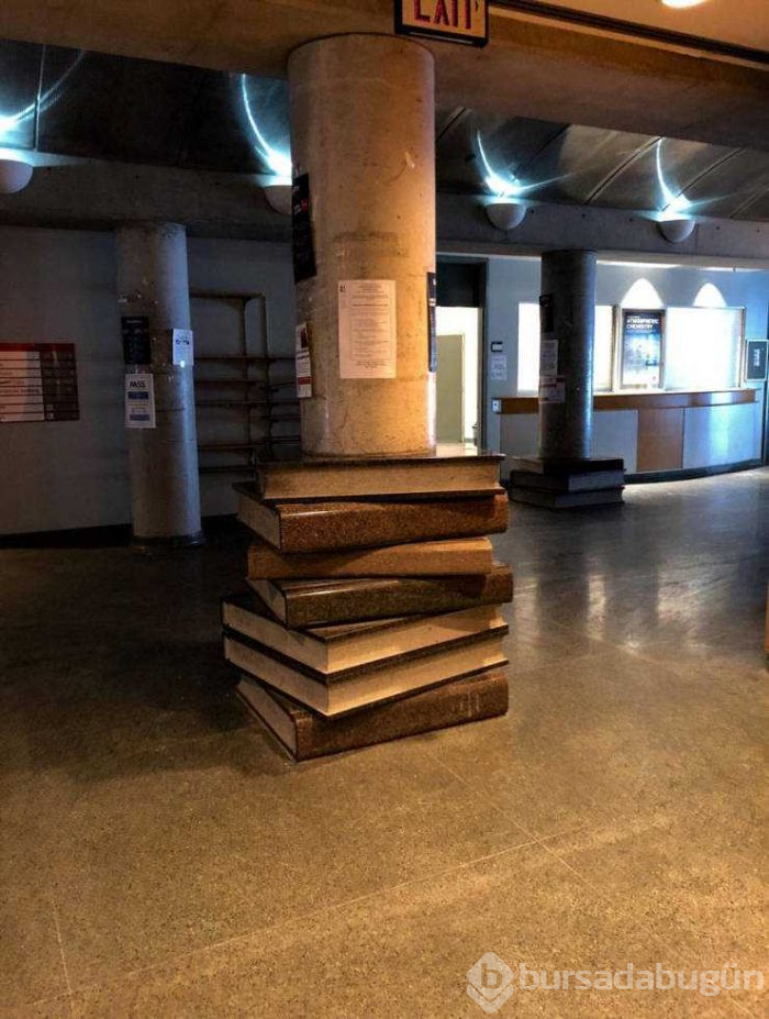 Günün en çok paylaşılan fotoğrafları (29.01.2019)