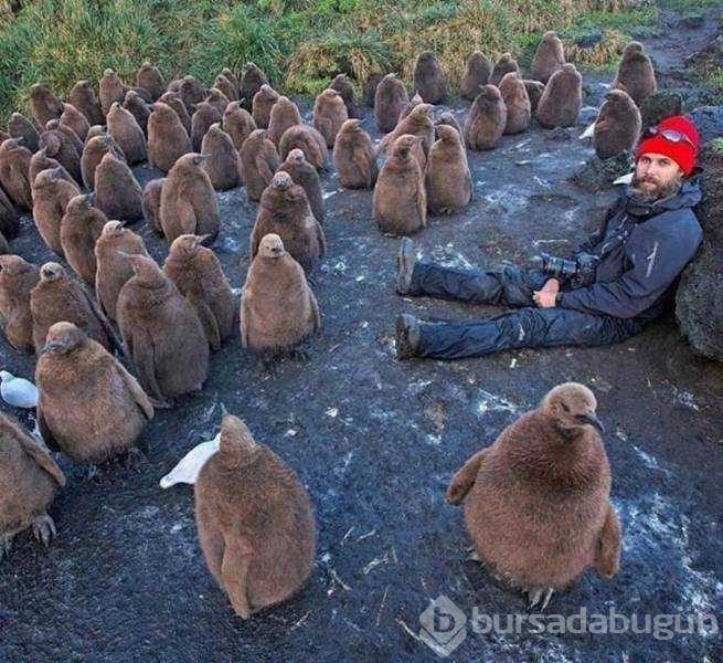 Günün en çok paylaşılan fotoğrafları (29.01.2019)