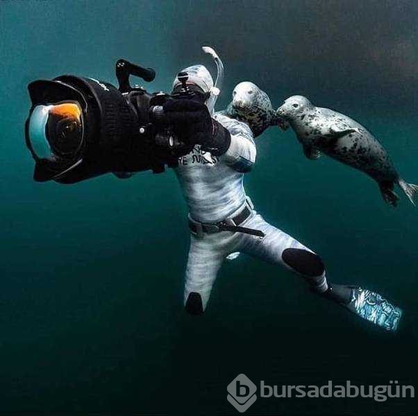 Günün en çok paylaşılan fotoğrafları (29.01.2019)