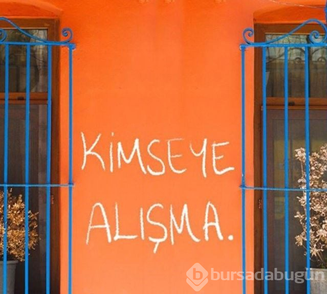 Çukur'da Ayşen Gruda göndermesi (Çukur'da ekrana yansıyan duvar yazıları)