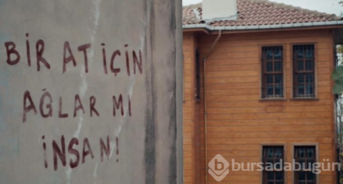 Çukur'da Ayşen Gruda göndermesi (Çukur'da ekrana yansıyan duvar yazıları)
