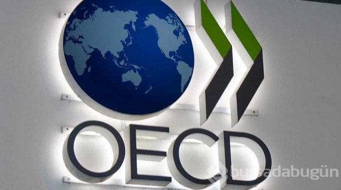  OECD'den "antibiyotiklere dirençli bakteri" uyarısı (Türkiye riskli ülkeler arasında) 