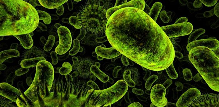  OECD'den "antibiyotiklere dirençli bakteri" uyarısı (Türkiye riskli ülkeler arasında) 
