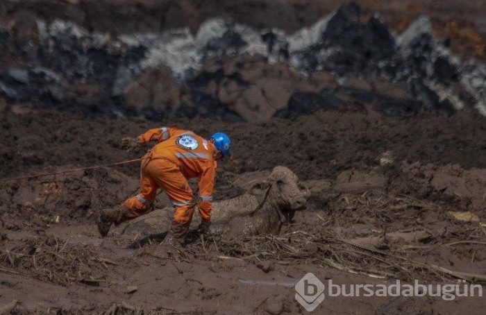 Brezilya'da barajın çökmesi sonrası zamanla yarış: 84 ölü, 276 kayıp 