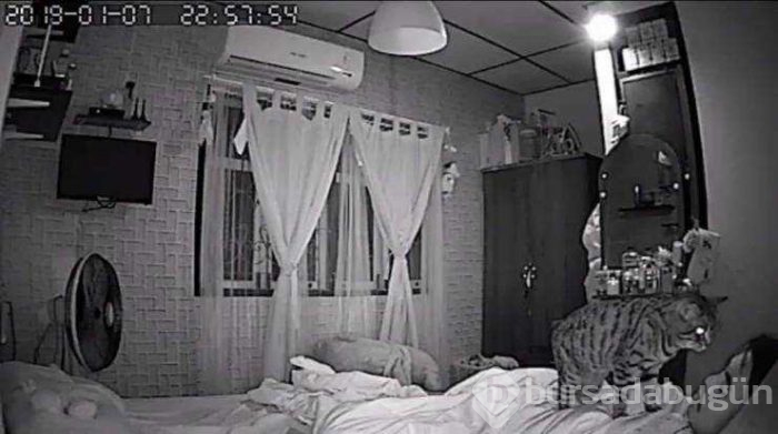 Günün en çok paylaşılan fotoğrafları (31.01.2019)