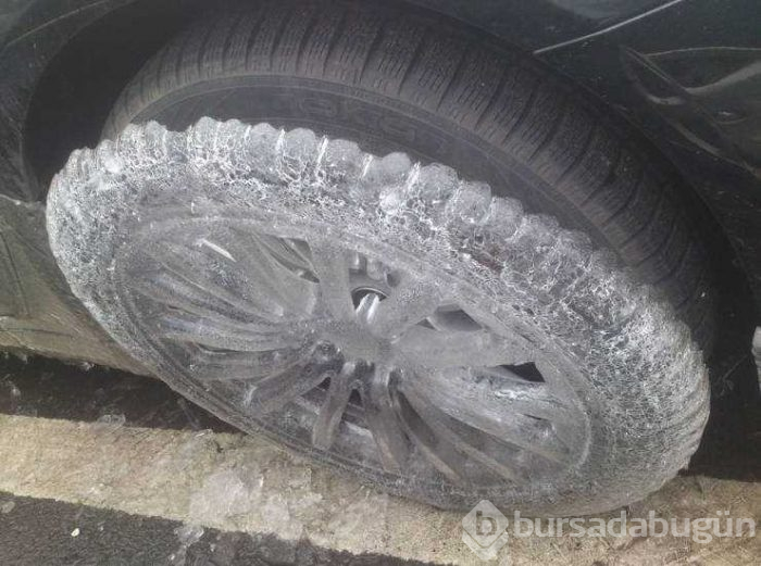 Günün en çok paylaşılan fotoğrafları (31.01.2019)