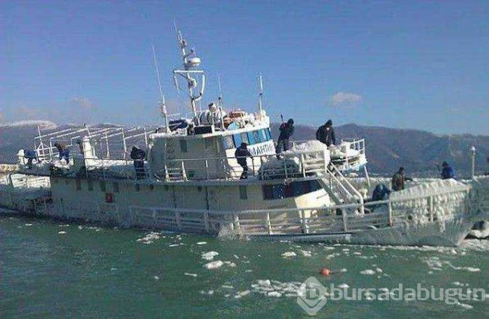 Günün en çok paylaşılan fotoğrafları (31.01.2019)