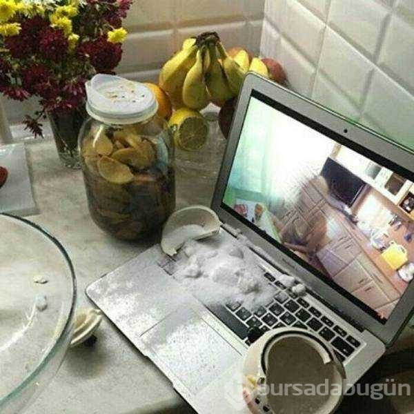 Günün en çok paylaşılan fotoğrafları (31.01.2019)