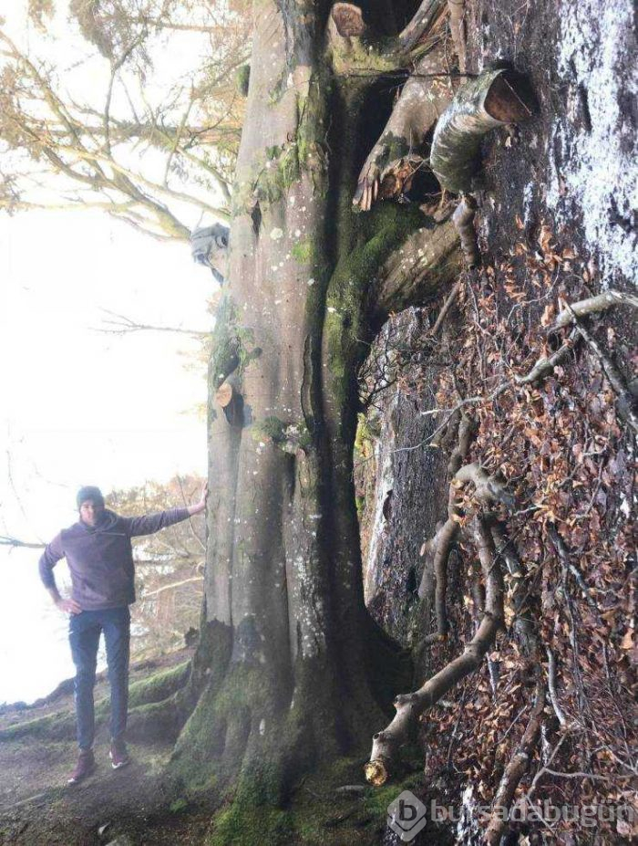 Günün en çok paylaşılan fotoğrafları (31.01.2019)