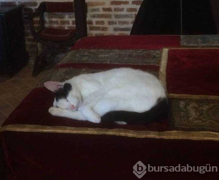 Günün en çok paylaşılan fotoğrafları (31.01.2019)