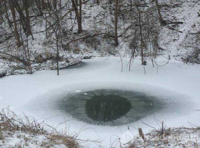 Günün en çok paylaşılan fotoğrafları (31.01.2019)
