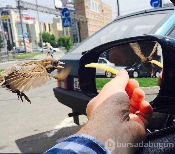 Günün en çok paylaşılan fotoğrafları (31.01.2019)