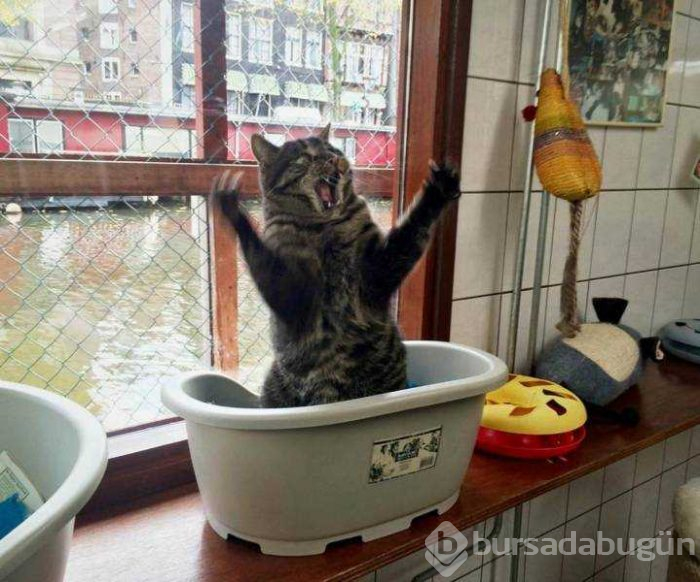 Günün en çok paylaşılan fotoğrafları (31.01.2019)