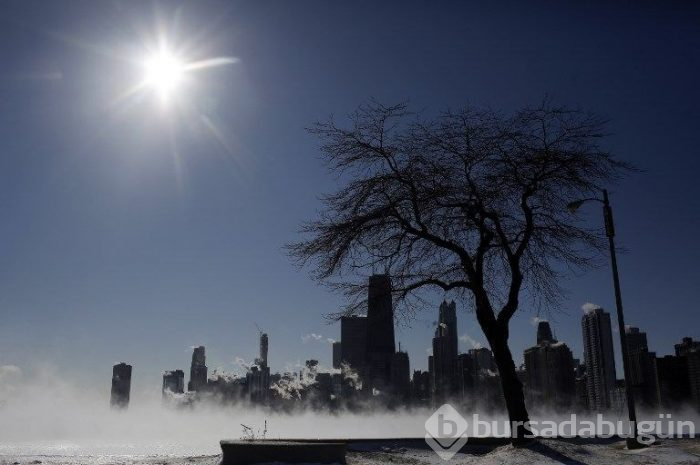 ABD'de soğuk hava dalgası: 7 ölü