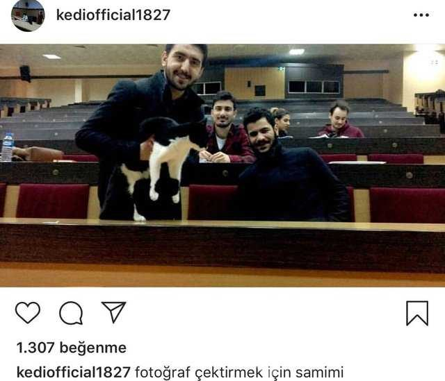 İstanbul Tıp Fakültesinin fenomen kedisi: Şanslı
