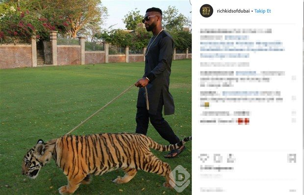 Dubai'nin zengin çocukları

