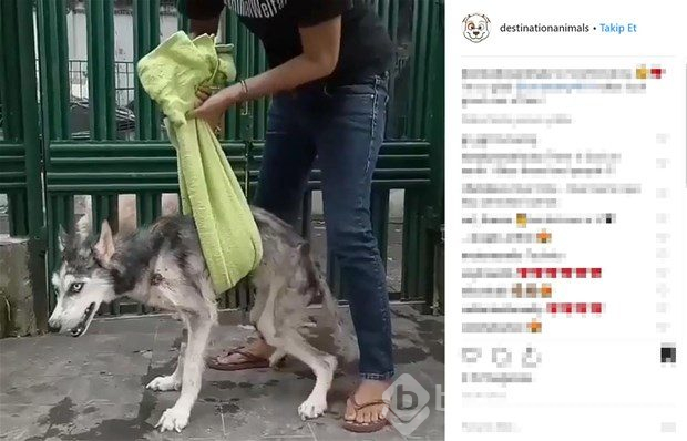 Değişimi şaşırttı

