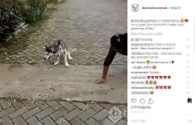 Değişimi şaşırttı

