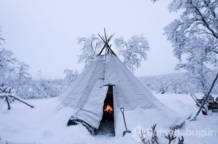 Norveç'te eksi 35 derecede Ren geyiklerinin izinde