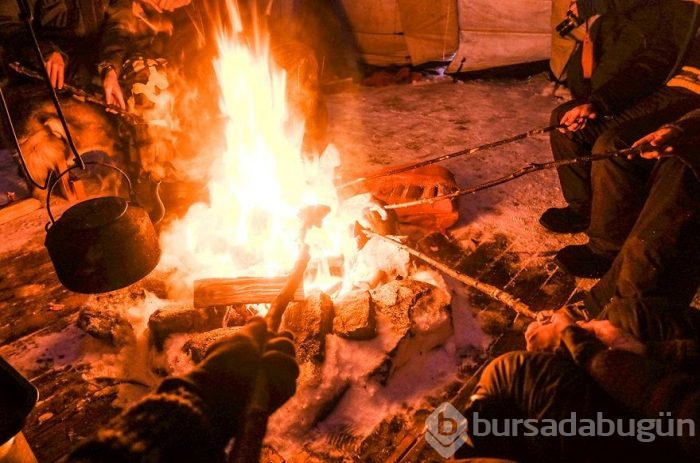 Norveç'te eksi 35 derecede Ren geyiklerinin izinde