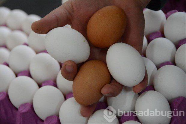 Yumurta kabuğunu fırına koyun sonra da fırında pişirin!


