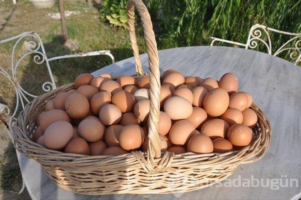 Yumurta kabuğunu fırına koyun sonra da fırında pişirin!

