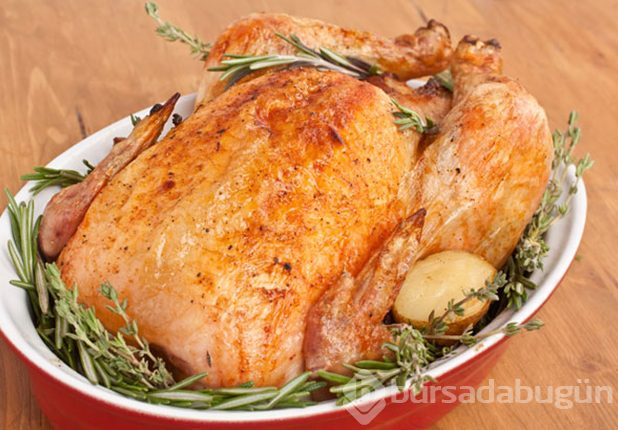 Protein deposu besinler
