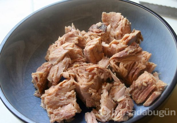 Protein deposu besinler
