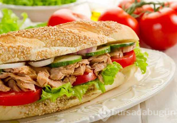 Protein deposu besinler
