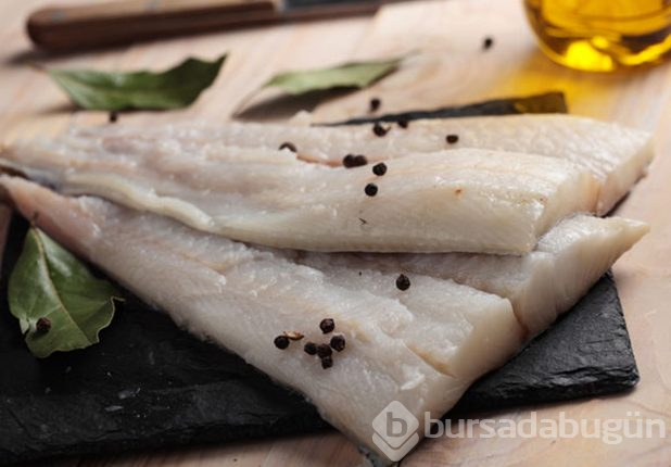 Protein deposu besinler
