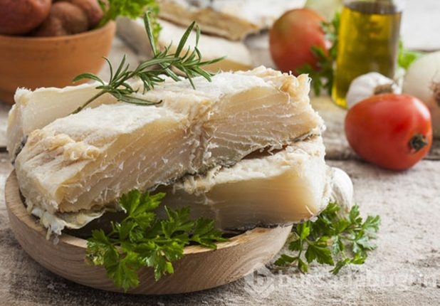 Protein deposu besinler
