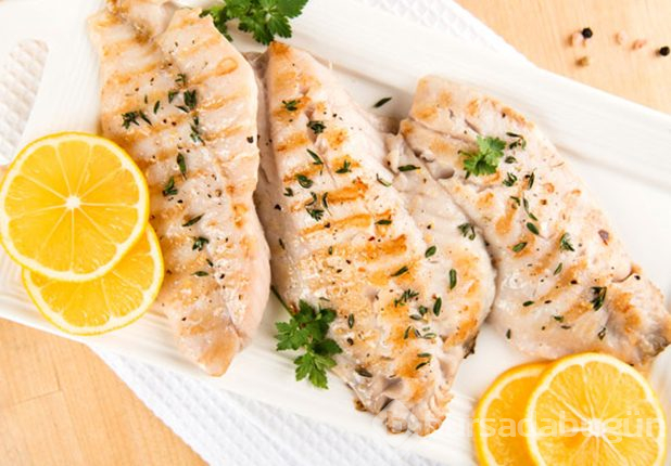 Protein deposu besinler

