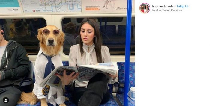 Sosyal medyanın yeni fenomeni
