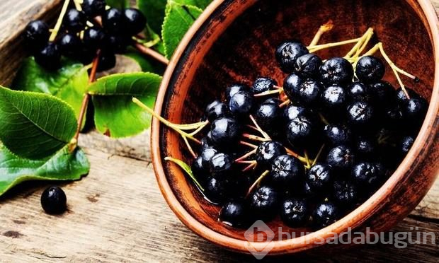 Aronia meyvesinin faydaları nelerdir