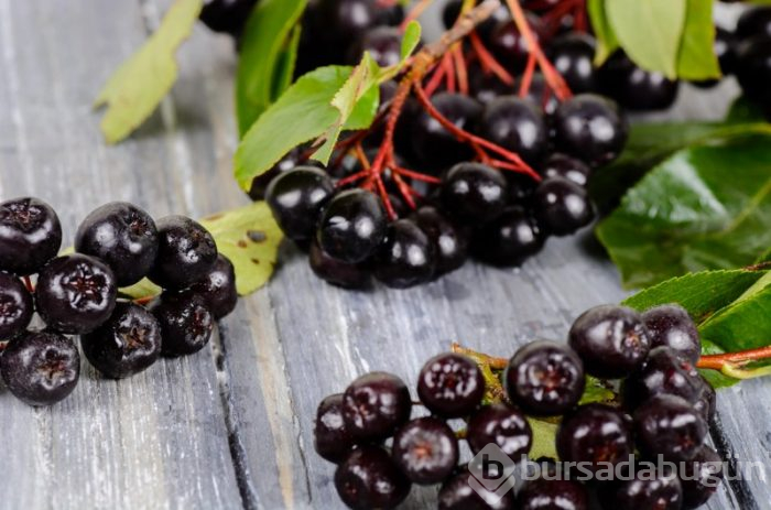 Aronia meyvesinin faydaları nelerdir