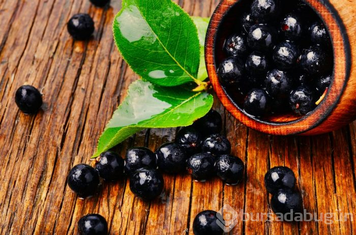 Aronia meyvesinin faydaları nelerdir
