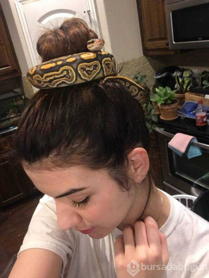 Hayvanların görenleri şaşırtan halleri
