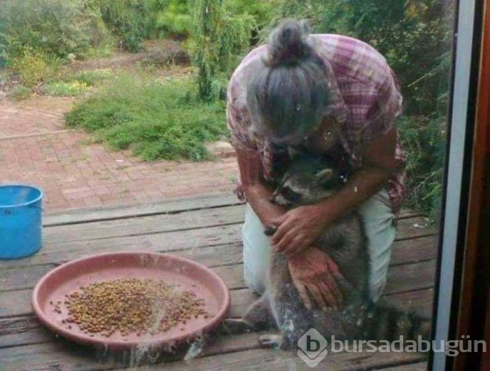 Hayvanların görenleri şaşırtan halleri
