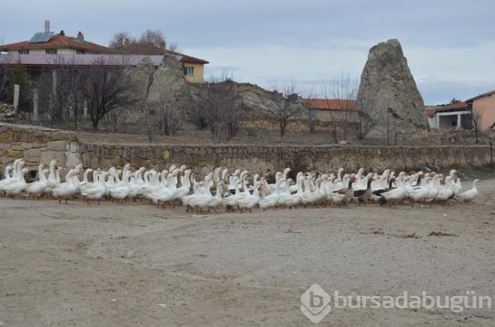 Frigya'nın 3 bin yıllık lezzetini yeniden canlandırdılar: Siyez buğdaylı kaz yemeği