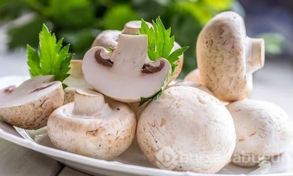 Faydaları saymakla bitmeyen mantarı et yerine bile tüketebilirsiniz!
