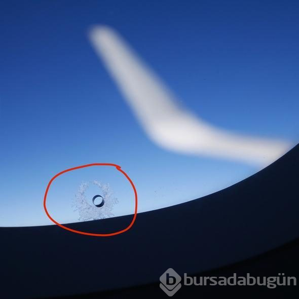Sürekli görüyoruz! Peki ne işe yarıyorlar hiç düşündünüz mü?
