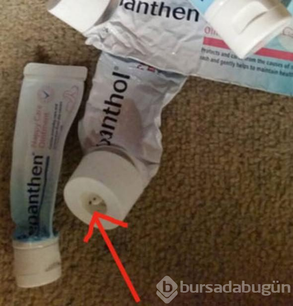 Sürekli görüyoruz! Peki ne işe yarıyorlar hiç düşündünüz mü?
