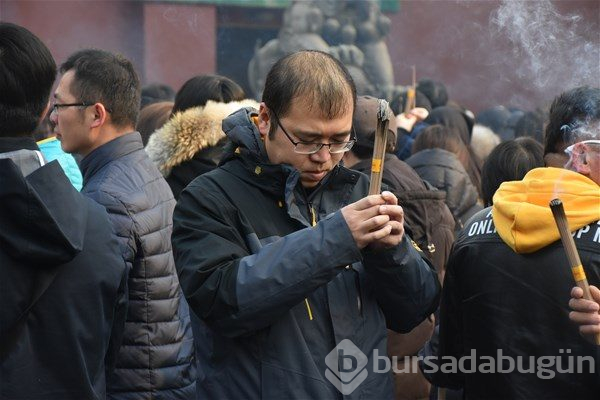 Çin domuz yılına girdi
