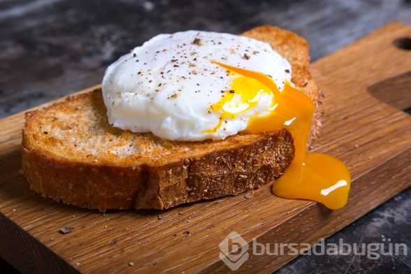 Yumurta hakkında bilinmesi gerekenler
