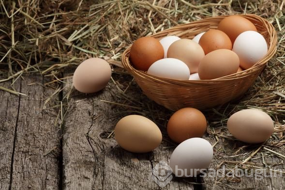 Yumurta hakkında bilinmesi gerekenler

