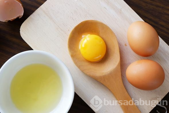 Yumurta hakkında bilinmesi gerekenler
