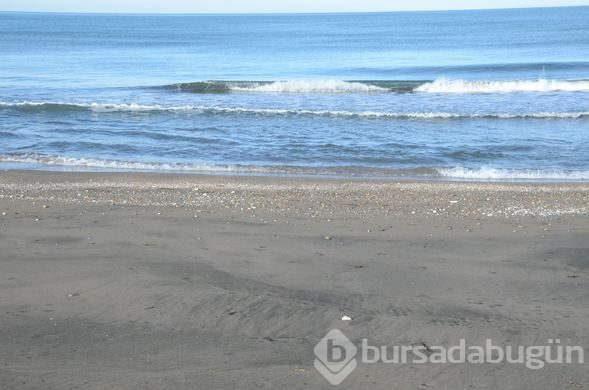 Türkiye'nin yeni cevheri olacak!
