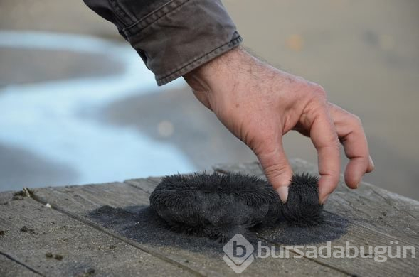 Türkiye'nin yeni cevheri olacak!
