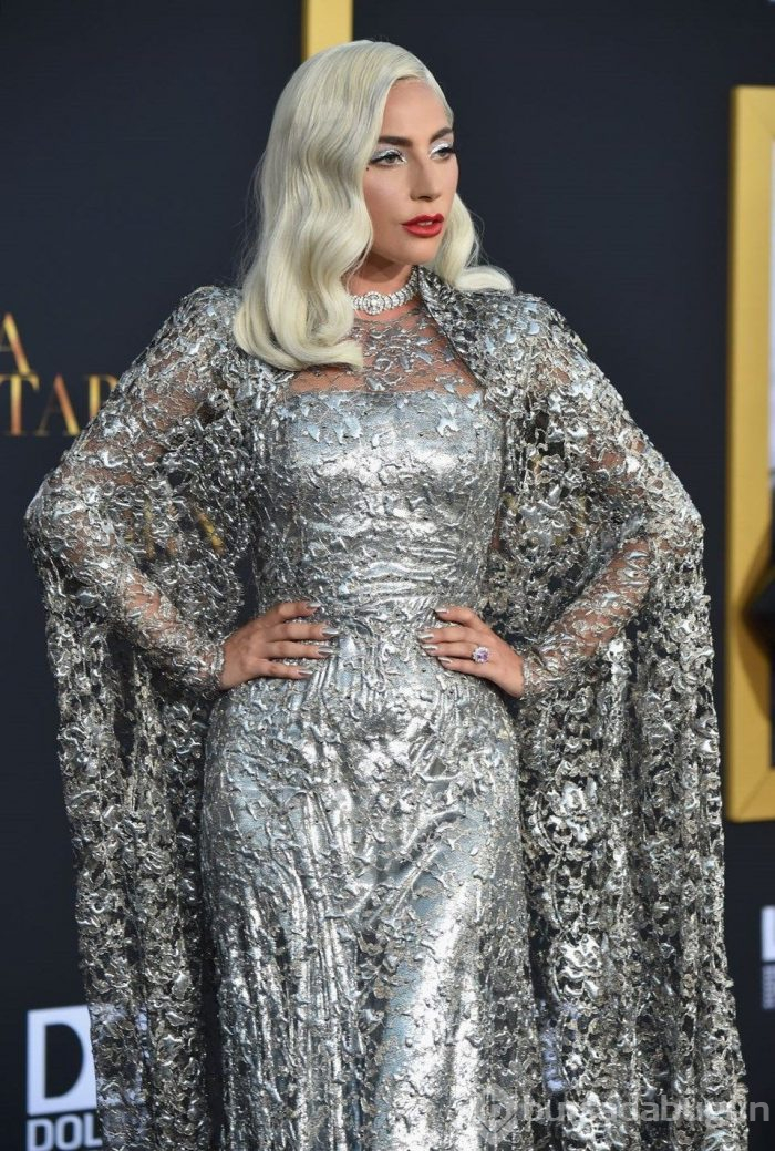 Lady Gaga 2019 Grammy Ödülleri'nde sahne alacak