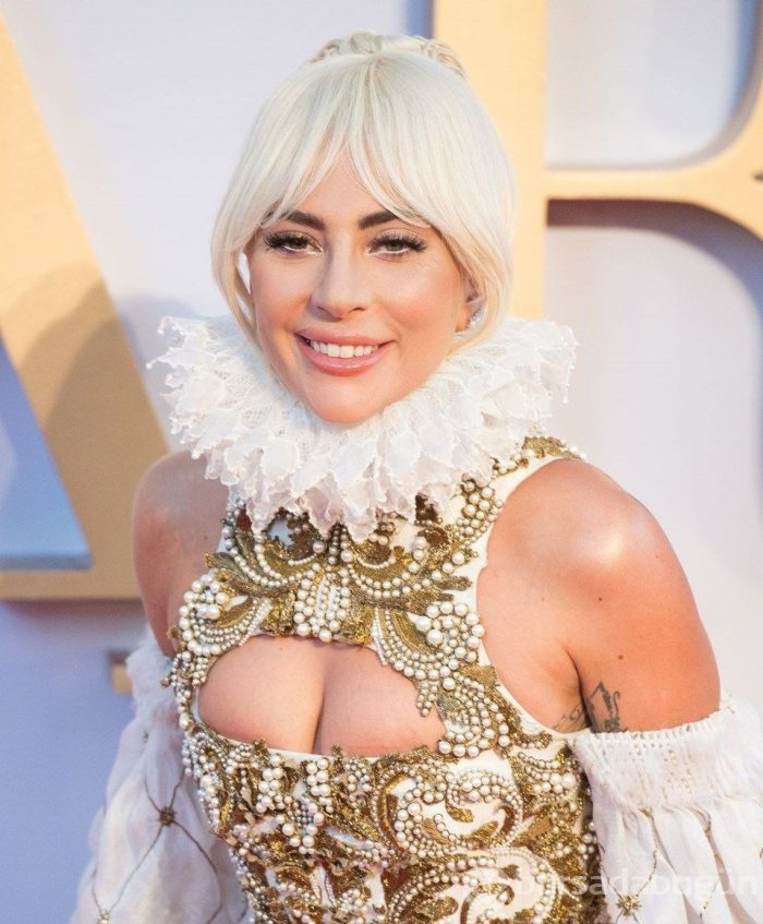 Lady Gaga 2019 Grammy Ödülleri'nde sahne alacak